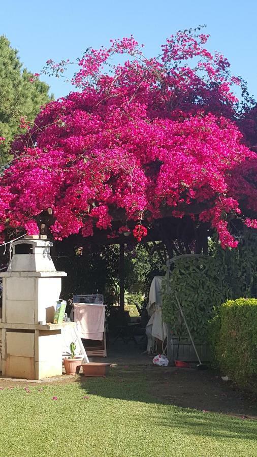 Casa Vacanze  IS MERIS Capitana Esterno foto
